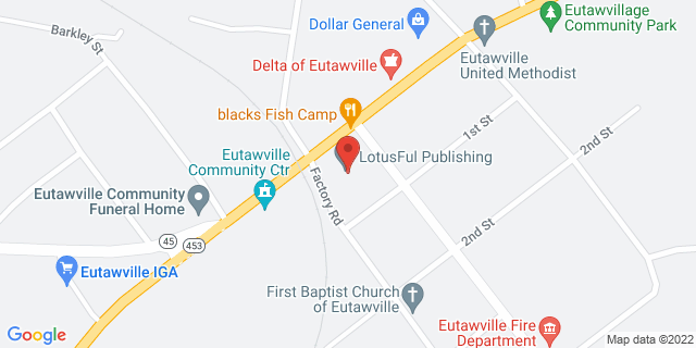 313 Porcher Ave, Eutawville, South Carolina, SC, 29048-9998 Map