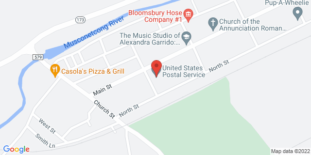 53 Center St, Bloomsbury, New Jersey, NJ, 08804-9998 Map