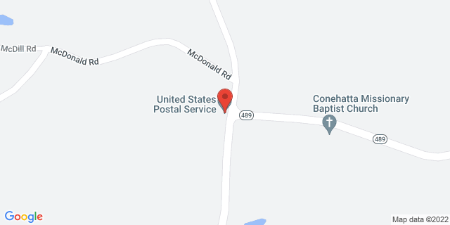 8396 Highway 489, Conehatta, Mississippi, MS, 39057-9998 Map