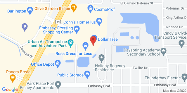 9602 Us Highway 19, Port Richey, Florida, FL, 34668-4642 Map