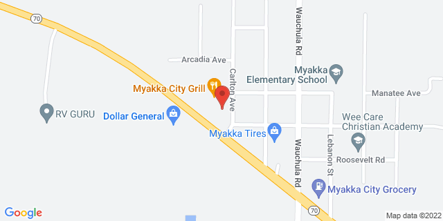 10490 Carlton Ave, Myakka City, Florida, FL, 34251-9998 Map