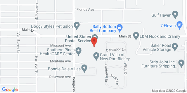 6550 Main St, New Port Richey, Florida, FL, 34653-3911 Map