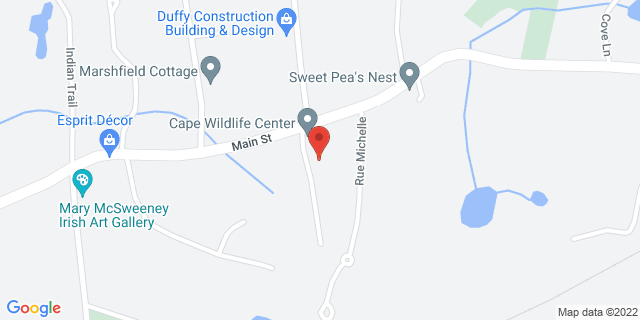 4029 Main St, Cummaquid, Massachusetts, MA, 02637-9800 Map