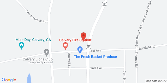 6468 Ga Highway 111 S, Calvary, Georgia, GA, 39829-9998 Map