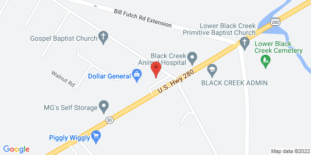 8745 Us Highway 280 E, Ellabell, Georgia, GA, 31308-9998 Map