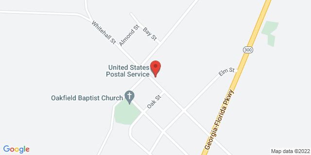 408 Whitehall St, Oakfield, Georgia, GA, 31772-9998 Map