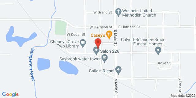 209 W Lincoln St, Saybrook, Illinois, IL, 61770-9900 Map