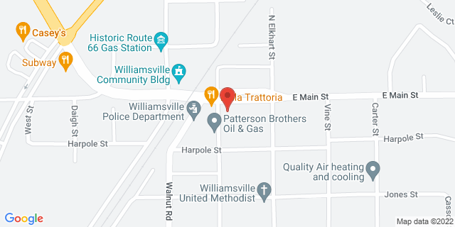 100 E Main St, Williamsville, Illinois, IL, 62693-9998 Map