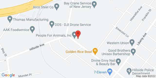 397 Hillside Ave, Hillside, New Jersey, NJ, 07205-9992 Map