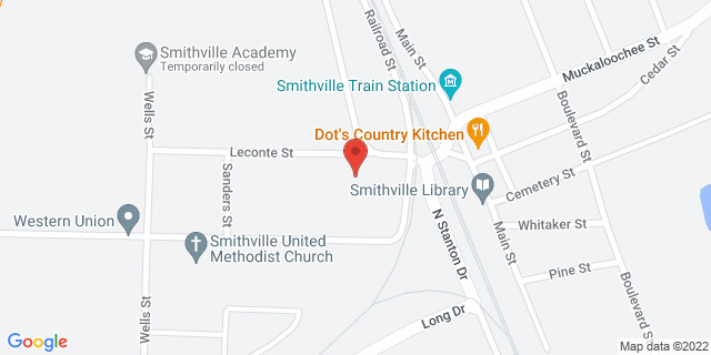 103 Le Conte St, Smithville, Georgia, GA, 31787-9998 Map