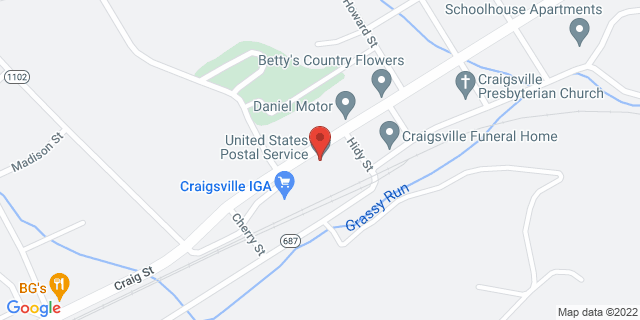 105 W Craig St, Craigsville, Virginia, VA, 24430-9998 Map