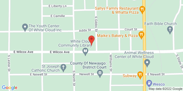 1097 E Wilcox Ave, White Cloud, Michigan, MI, 49349-8794 Map