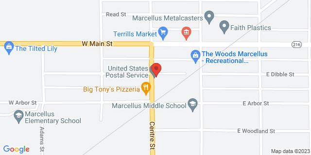 203 S Centre St, Marcellus, Michigan, MI, 49067-8758 Map