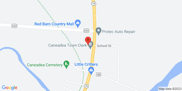 8915 State Route 19, Caneadea, New York, NY, 14717-9998 Map