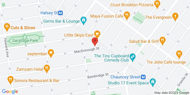 805 Macdonough St, Brooklyn, New York, NY, 11233-9993 Map