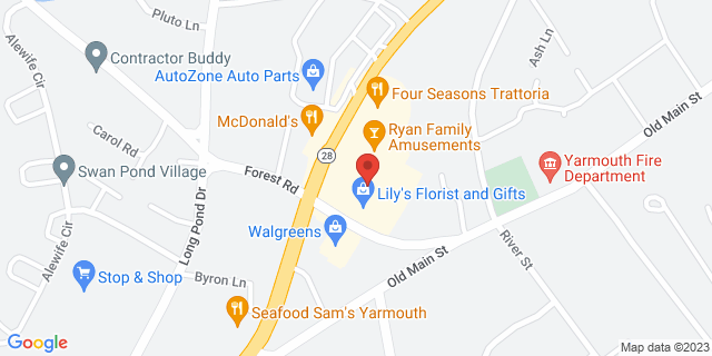 1057 Route 28, South Yarmouth, Massachusetts, MA, 02664-9998 Map