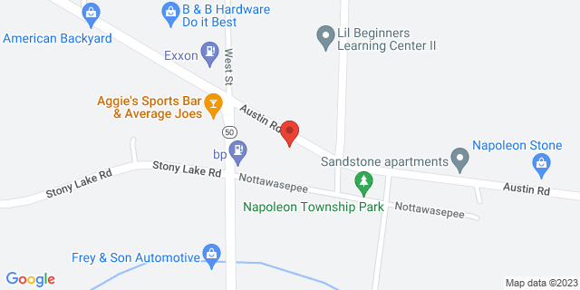 125 Austin Rd, Napoleon, Michigan, MI, 49261-9998 Map