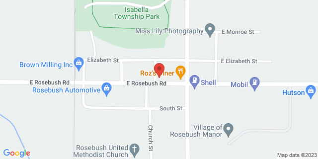 3905 E Rosebush Rd, Rosebush, Michigan, MI, 48878-9800 Map