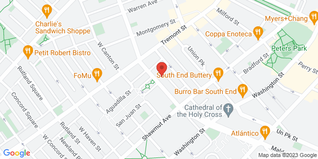 59 W Dedham St, Boston, Massachusetts, MA, 02118-9998 Map