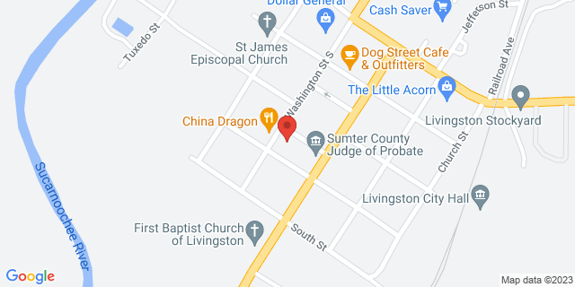 321 Washington St, Livingston, Alabama, AL, 35470-9790 Map