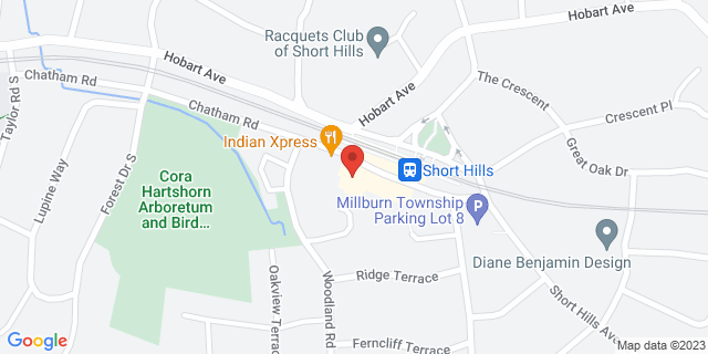 30 Chatham Rd, Short Hills, New Jersey, NJ, 07078-9998 Map