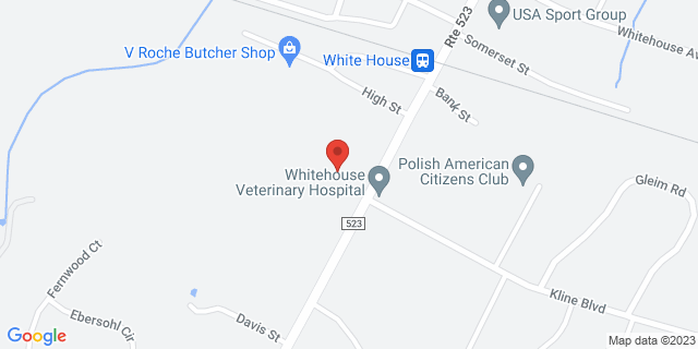 273 Main St, Whitehouse Station, New Jersey, NJ, 08889-9998 Map