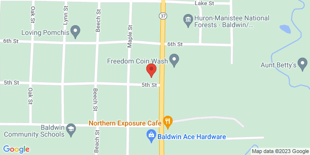 513 Michigan Ave, Baldwin, Michigan, MI, 49304-7992 Map